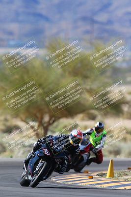 media/Apr-14-2024-SoCal Trackdays (Sun) [[70f97d3d4f]]/1-Turn 5 Tree of Life (920am)/